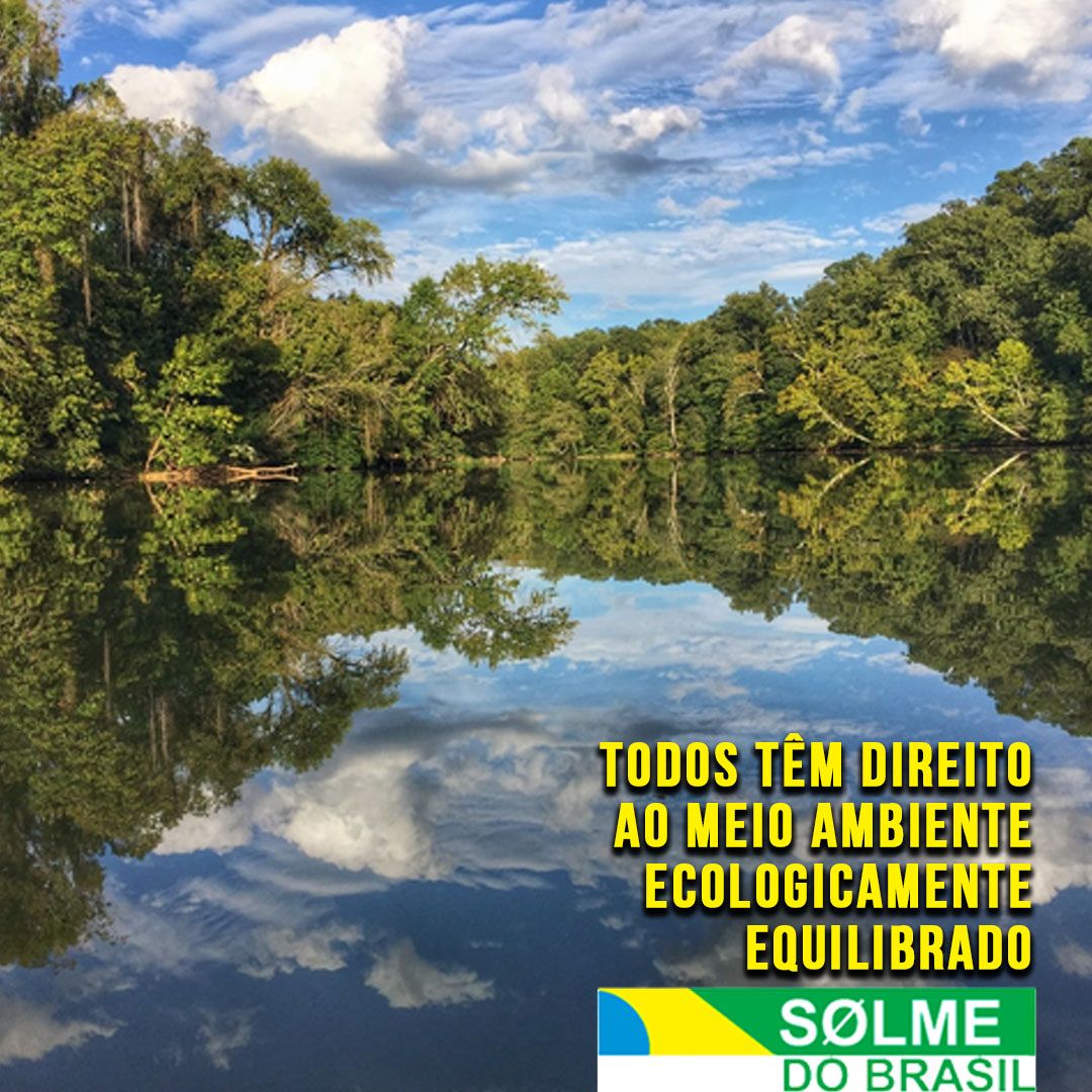 “Todos têm direito ao meio ambiente ecologicamente equilibrado''