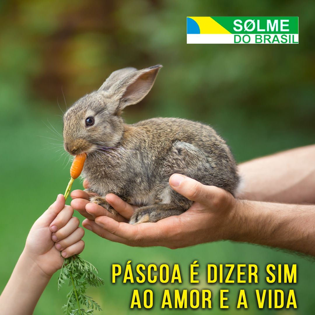 Páscoa é dizer sim ao AMOR e a VIDA.