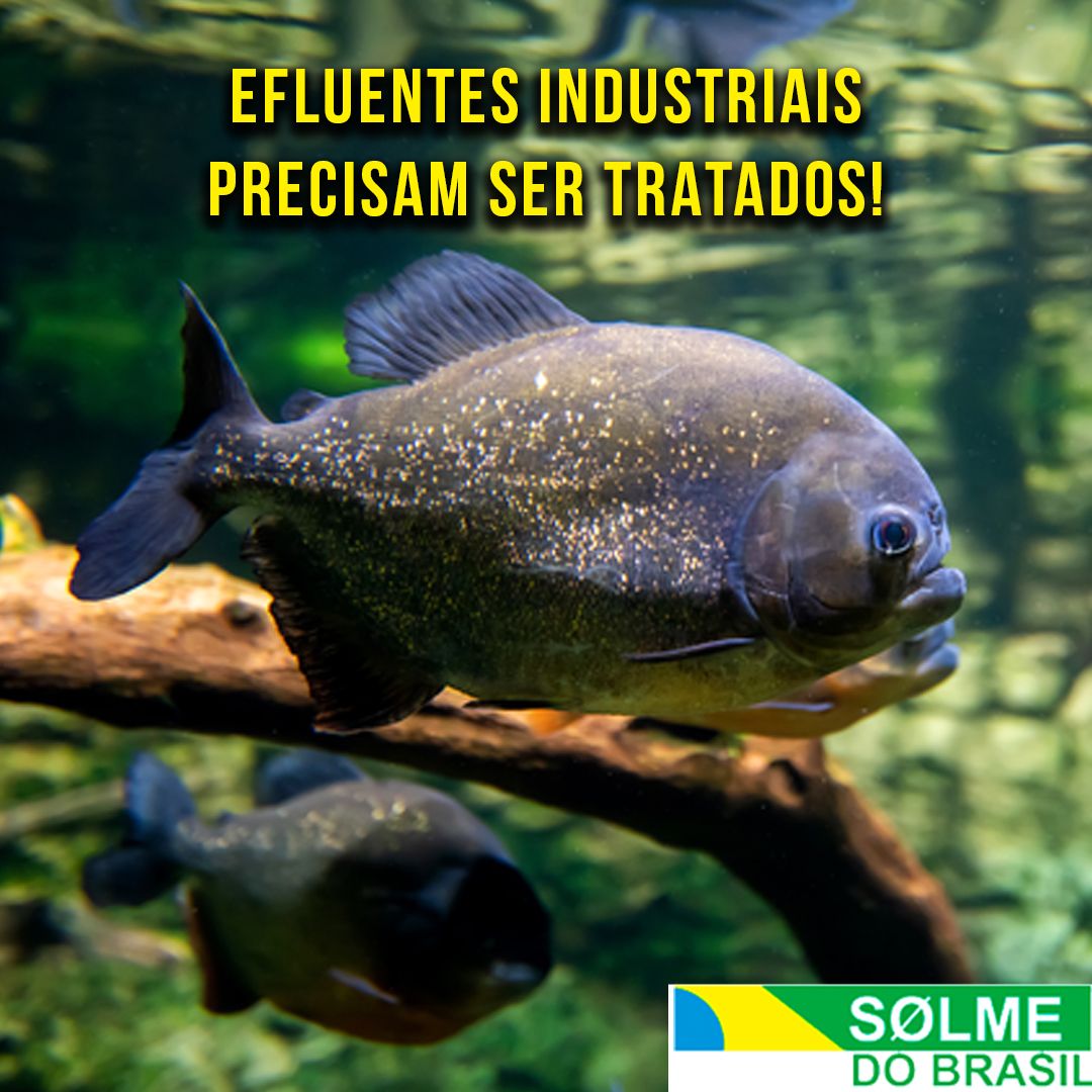 EFLUENTES INDUSTRIAIS PRECISAM SER TRATADOS!