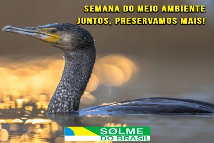 A SOLME na semana do Meio Ambiente: Conscientização