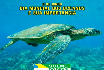 08 de junho - O Dia Mundial dos Oceanos e sua importância