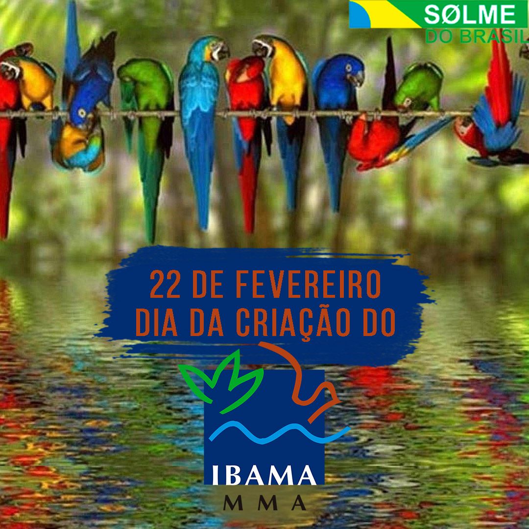 22 de fevereiro dia da criação do IBAMA